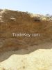 RHODES GRASS, WHEAT ST...
