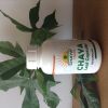 Chaya Tree Spinach Capsules - 120 Capsules