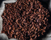 Best selling Cocoa Beans