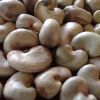 Raw cashew