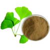 Ginkgo Biloba Extract