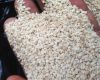 sesame seeds