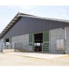 steel structure prefabricated livestock poultry farming house shed chicken house cow cattle house