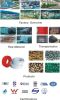 PPR polypropylene rand...