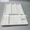 Dental Disposable Plas...