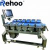 Digital and Stability Conveyor Belt Combination Weigher Scale for Frui