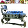 Digital and Stability Conveyor Belt Combination Weigher Scale for Frui