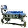 Digital and Stability Conveyor Belt Combination Weigher Scale for Frui