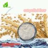 Organic Oat Milk Powder