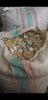 Plastic Waste