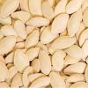 Melon or Egusi seed