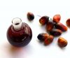 Palm Kernel Oil | Oil ...