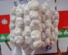 Fresh China Garlic, Pu...