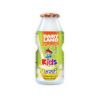 Dairy Land Kids Lassi (Yogurt, Strawberry, Mango and Banana Flavor) 100 ml