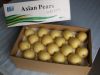 Asian pears