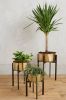 PLANTER