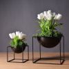 PLANTER