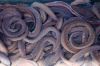 Live , forozen Hagfish , Crab, Lobsters, Shrimp and other deafood for sale