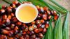 Palm Oil