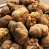 White Truffle