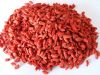 Goji berries