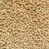 Agricultural Seed,Nut,...