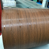 Prime Quality Competitive Price Color Coated Gl Steel Coil