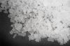 Magnesium Chloride CAS...