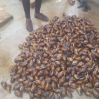 Fresh/smoked catfish,live snail and processed snail meat,cashew nuts,nuts,palm oil,etc