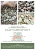 Indonesia Raw Cashew Nut In Shell