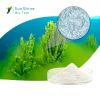 Factory Directly Supply Extract of  Freshwater Sponge skin care