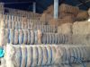 COIR FIBER - COCONUT FIBER