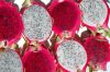 Dragon Fruit - Pitaya