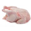 Halal Frozen Chicken, Frozen Whole Chicken 