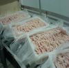 Brazilian Quality Halal Frozen Whole Chicken And Parts / Thighs / Feet / Paws / Drumsticks 