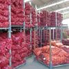 Premium Quality Onion At Wholesale Prices 