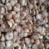 Betel Nut / Whole And ...