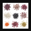Light Speckled Kidney Beans Sugar
