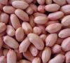 Round peanut 80/100