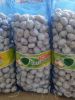 2019 new crop fresh normal white garlic