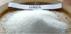 Urea