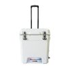 Wholesale plastic trolly food delivery cooler box 