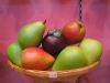 Artificial Fruits &...
