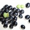 BLACK BEAN WITH GREEN ...