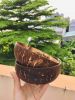 COCONUT SHELL BOWL/REA...