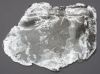 Muscovite Mica