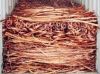 Copper Scraps Suppliers/Export