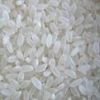 Japonica Rice | Rice S...