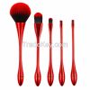 5pcs makeup brushes kit