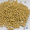 Soybeans FOB Russia